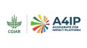 A4IP logo